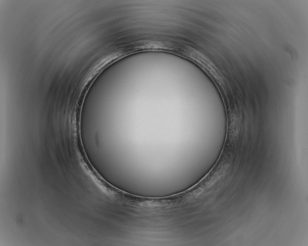 X0000113370898200910061058