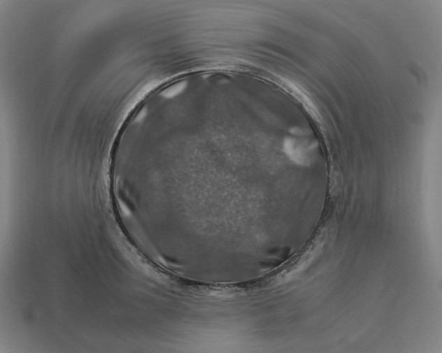 X0000113370899200910061058