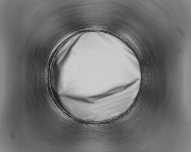 X0000113370900200910061058