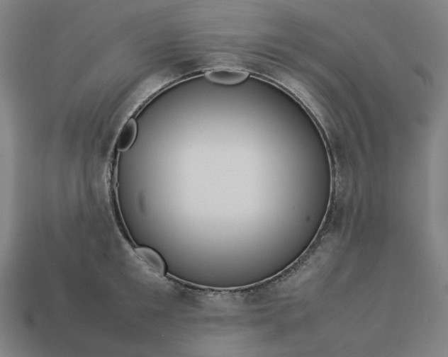 X0000113370901200910061058