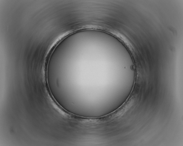 X0000113370902200910061058