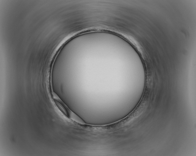 X0000113370903200910061058