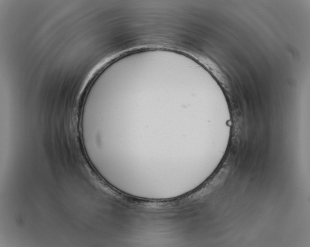 X0000113370904200910061058