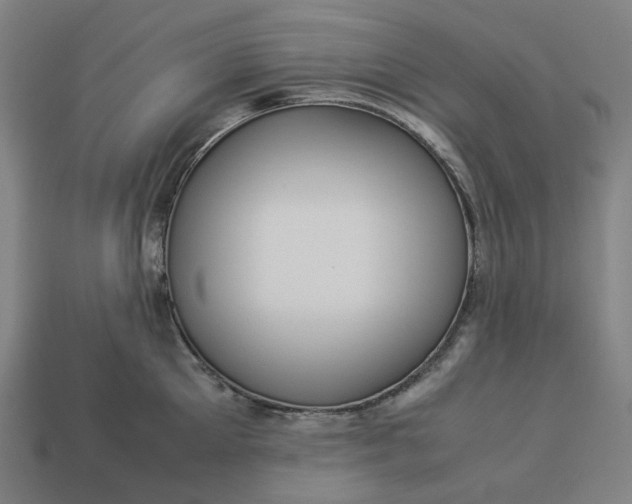 X0000113370905200910061058