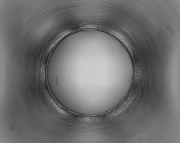 X0000113370906200910061058