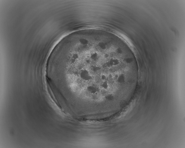 X0000113370907200910061057