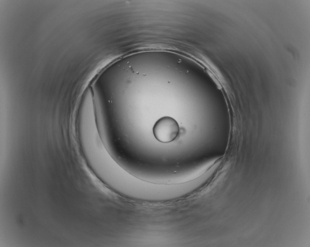 X0000113370909200910061057