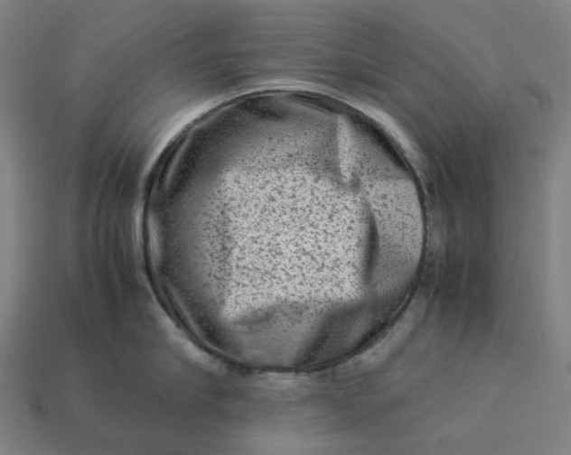 X0000113370910200910061057