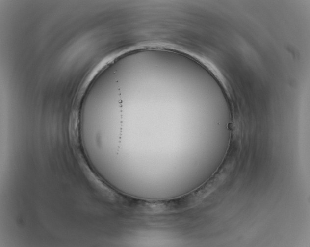 X0000113370911200910061057