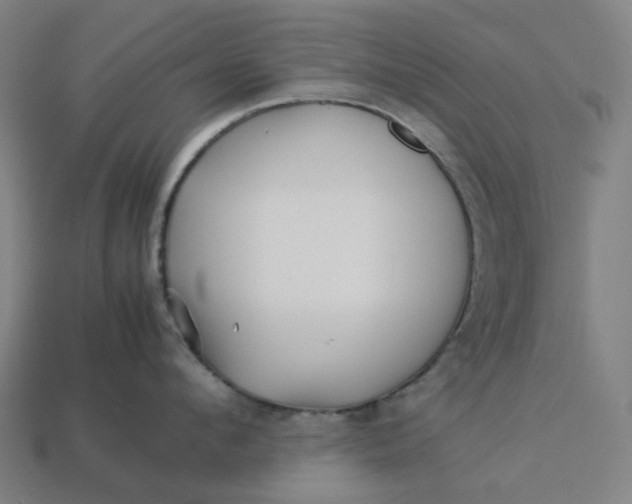 X0000113370912200910061057