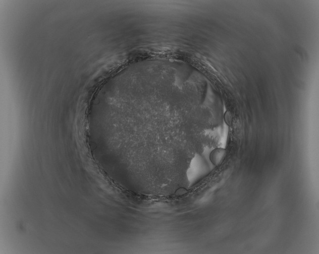 X0000113370913200910061057