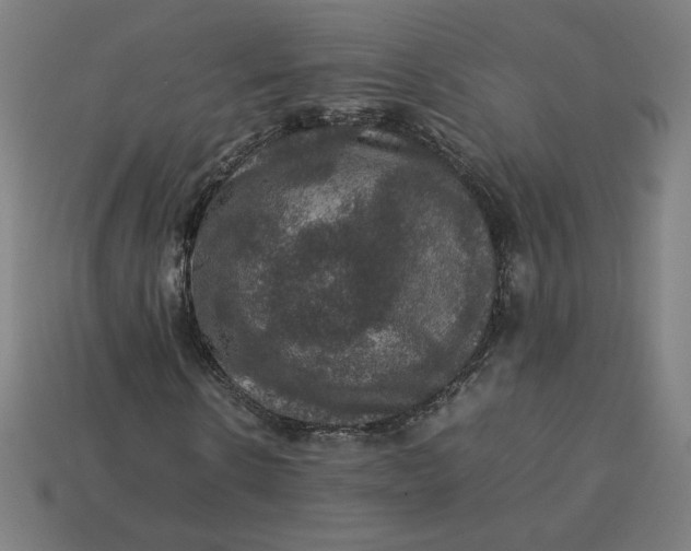 X0000113370914200910061057