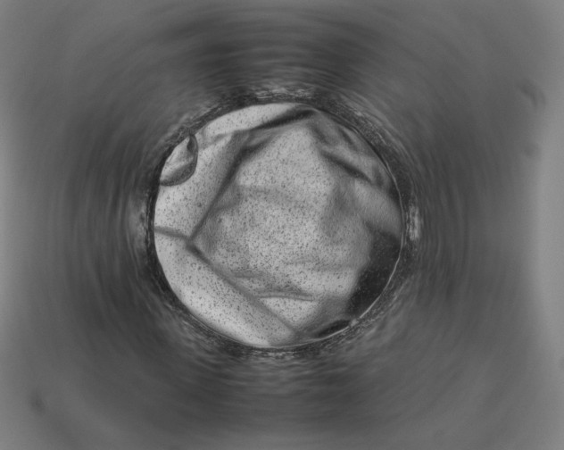 X0000113370915200910061057