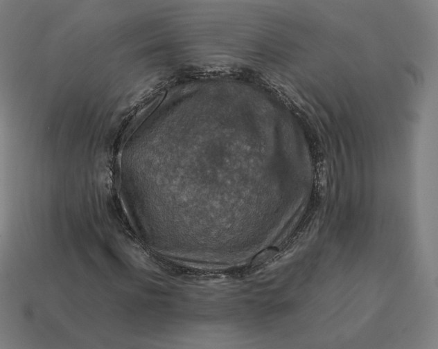 X0000113370916200910061057