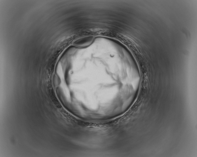 X0000113370917200910061057