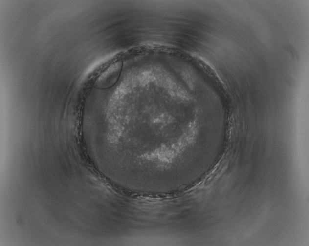 X0000113370919200910061057