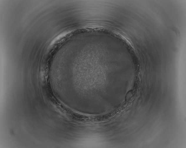 X0000113370920200910061057