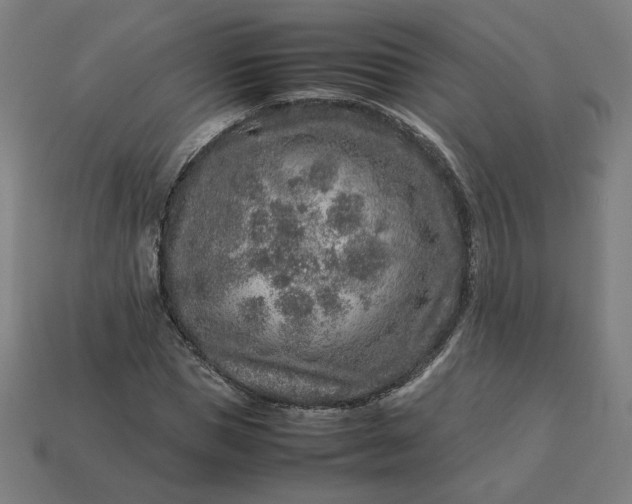 X0000113370921200910061057