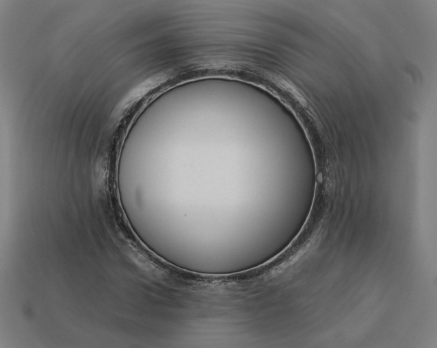 X0000113370922200910061057