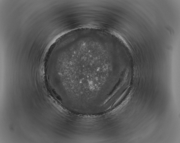 X0000113370923200910061057