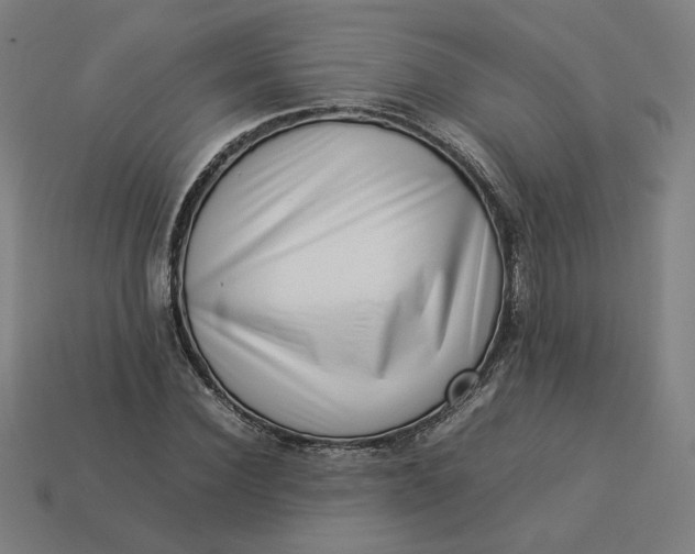 X0000113370924200910061057