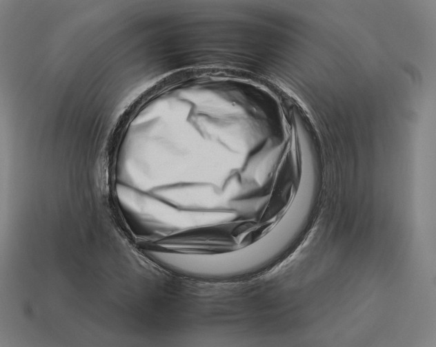 X0000113370925200910061057