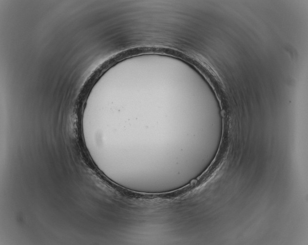 X0000113370926200910061057