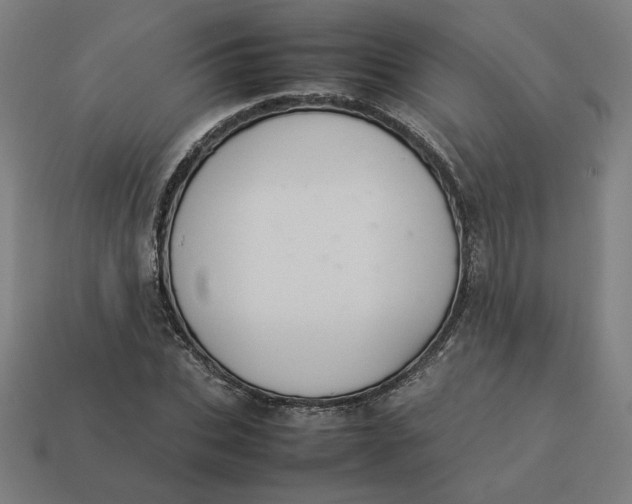 X0000113370927200910061057