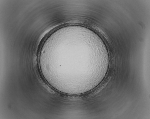 X0000113370928200910061057