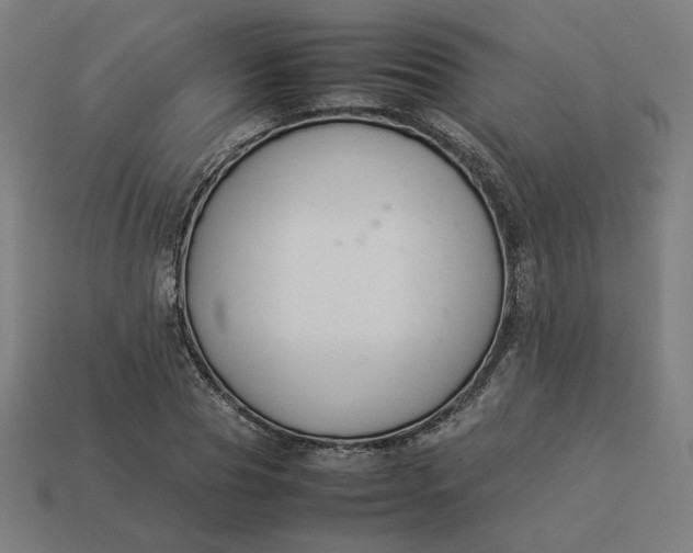 X0000113370929200910061057