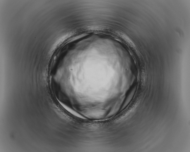 X0000113370930200910061057