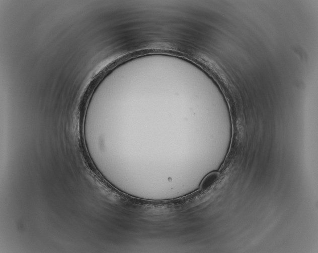 X0000113370931200910061057