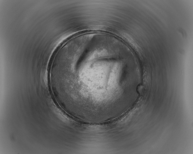 X0000113370932200910061057