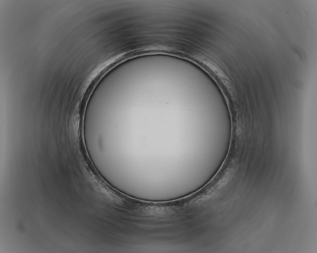 X0000113370933200910061057