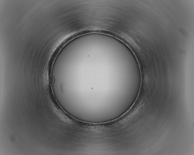 X0000113370934200910061057