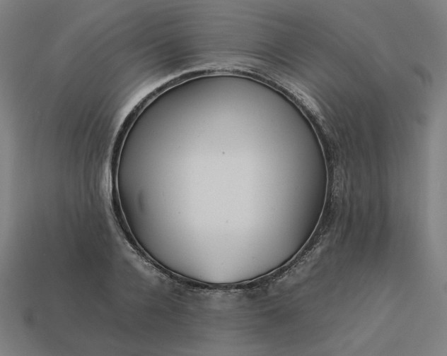 X0000113370936200910061057