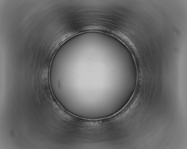 X0000113370937200910061057