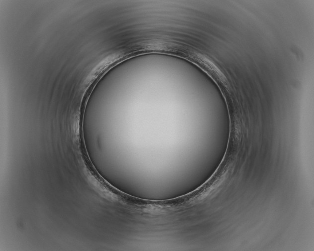 X0000113370938200910061057