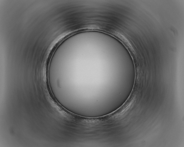 X0000113370939200910061057