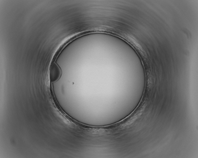 X0000113370940200910061057