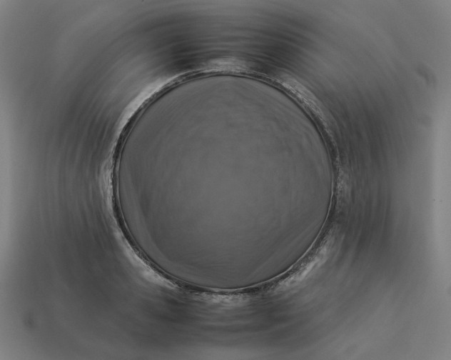 X0000113370941200910061057