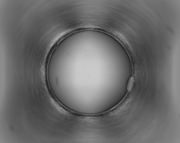 X0000113370942200910061057