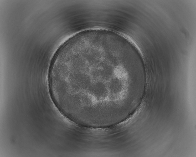 X0000113370943200910061057