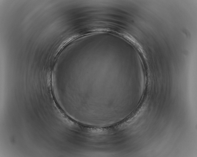 X0000113370945200910061057