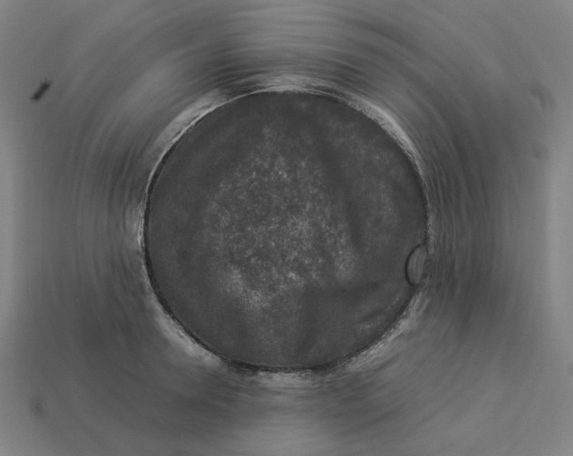 X0000113370946200910061057