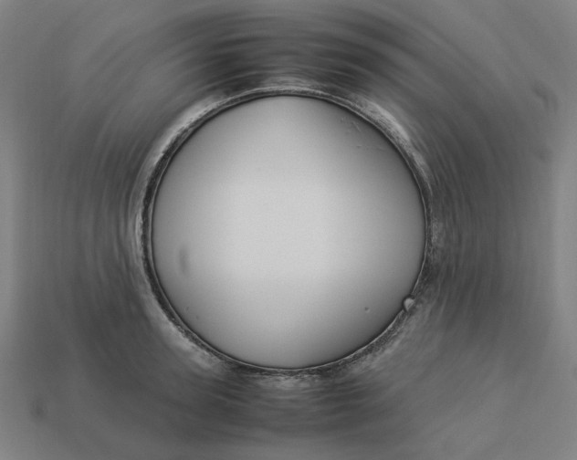 X0000113370947200910061057