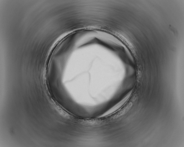 X0000113370948200910061057