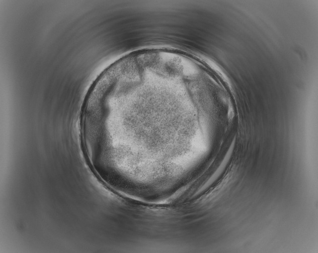 X0000113370951200910061057