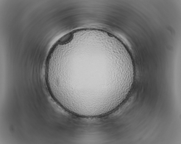 X0000113370952200910061057