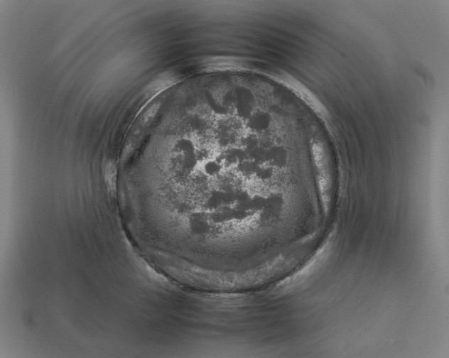 X0000113370953200910061057